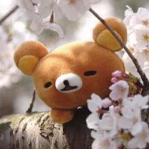 JoannaChu1012's profile picture. 