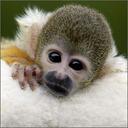 Taylor Schuler - @francesschuler - Twitter