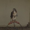 nick seal - @nick0810u - Twitter