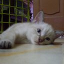 ANUAR ALI - @ANUARALINOORHAY - Twitter