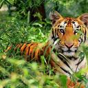 Vipin Babu - @VipinBabu6 - Twitter