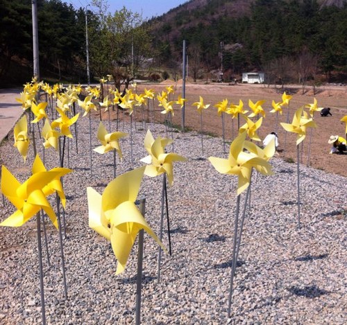 zassjun's profile picture. 항상 즐거운 마음으로 살아가기/서로의차이 인정하기(틀린것과다른것의 의미)/서로 배려하기/먼저 용서의 손길을 내밀기/