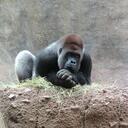 Zeb Freeman - @daddyzeb - Twitter