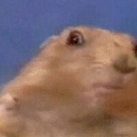 james lowell (@onodrimm) 's Twitter Profile Photo