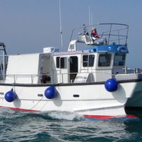 newquay sea safaris (@newquayseasafar) 's Twitter Profile