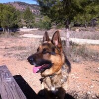 etg55 (@55etg) 's Twitter Profile Photo