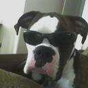 Chris Hands - @cmanos - Twitter