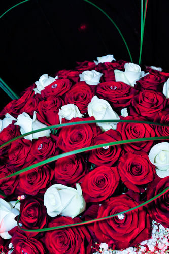 wdbflowers's profile picture. a one stop wedding specialist, from flowers, wedding accessory hire to the whole event planing service under one roof