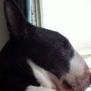 John - @john_backus - Twitter