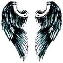 Calvin Timothy - @Timothy_Calvin - Twitter