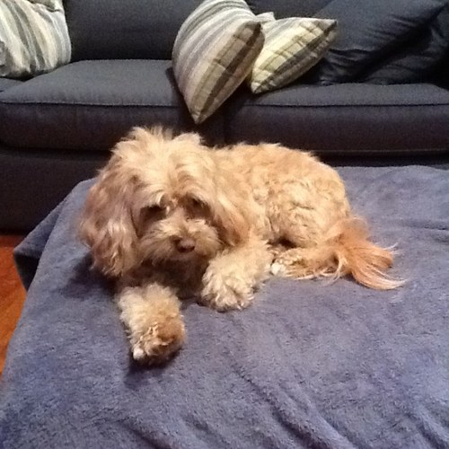 LisaFerguson20's profile picture. 