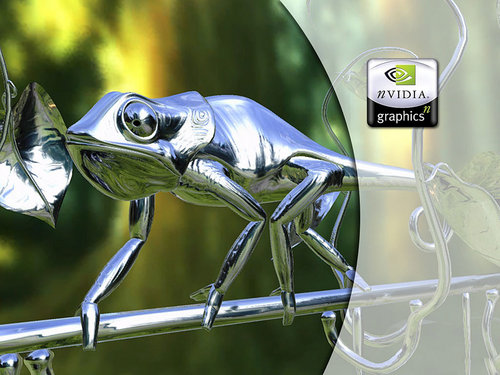 RobyFranAfiando's profile picture. 