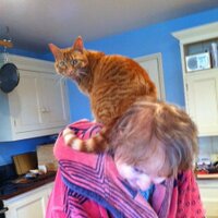 Libby Purves (@lib_thinks) 's Twitter Profile Photo