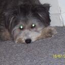 tish young davis - @tish2007 - Twitter