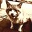 muniao's profile image