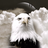 bald eagle (@1963ido) Twitter profile photo