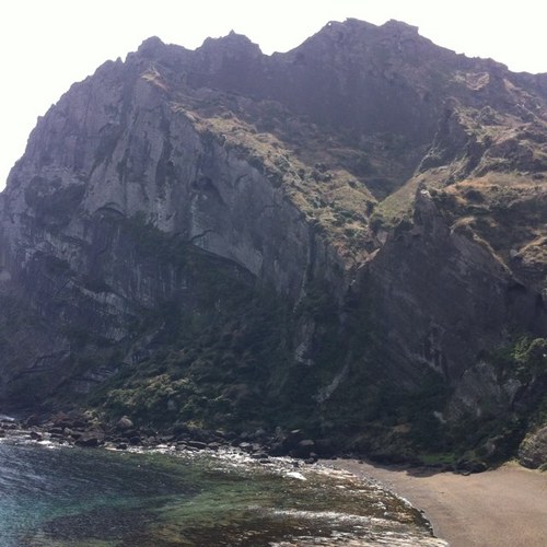 hojinv76's profile picture. 