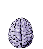 codable_ru's profile picture. Библиотека IT статей.