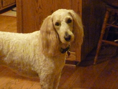 HeatherCutrell's profile picture. 