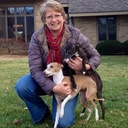 Karen Dameron - @KarenDameron - Twitter