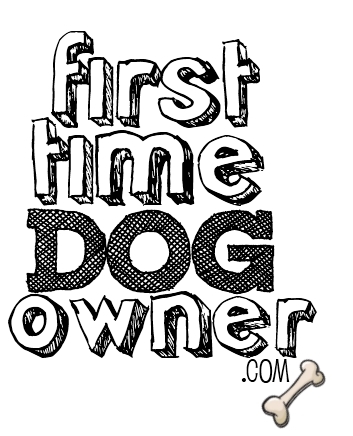 Toronto based first time dog owner sharing experiences and offering resources for dog lovers and owners alike. http://t.co/6rZO83e9op