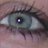 xxlettiestwitxx's profile image
