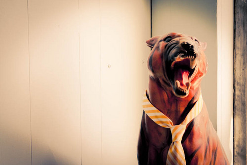 miguelesquirol's profile picture. 