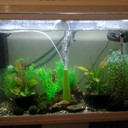 sarah spinks - @tardis26 - Twitter