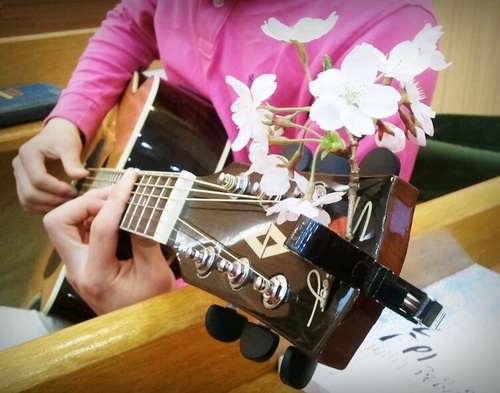 Isaac kim❤️ Memecoin