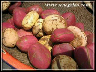 adangwali's profile picture. Iko sai Aĺllah