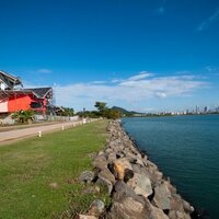 BioMuseo Panamà (@biomuseopanam) 's Twitter Profile