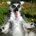 david chua - @davidchua9 - Twitter