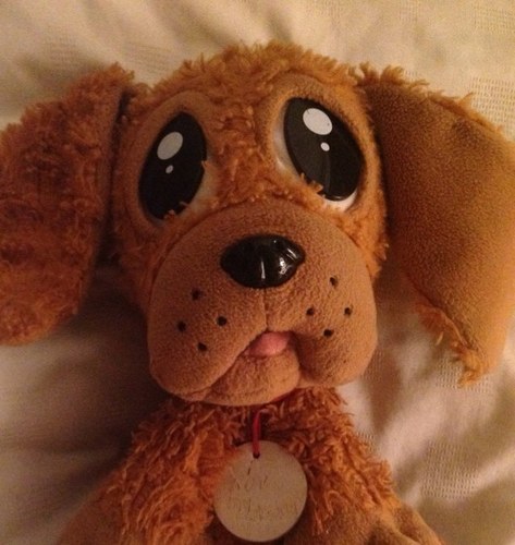 Neddye72's profile picture. 