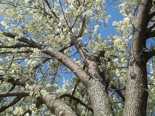 Shall725's profile picture. 