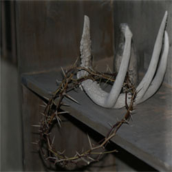 Righteous/Humble/Enduring/Armor-Bearing/Loving Men Under God!!! Titus 2