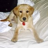 thebrav's profile picture. This was supposed to help a bunch of friends play XBOX but most of them backed out of Twitter. So now twit's nothing but a bunch of non-sequitur comments.Enjoy!