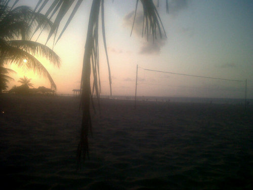 william80960589's profile picture. 