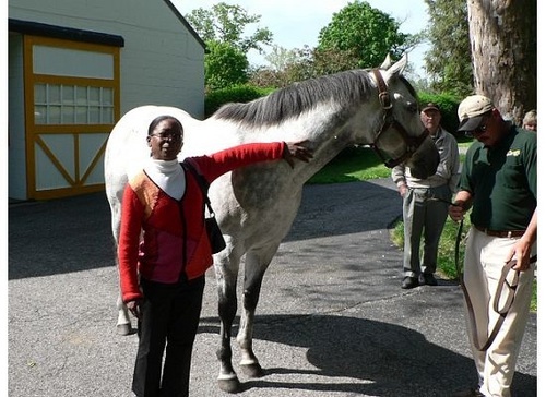 God first, Mom second, horses third, other animals fourth- Mustang-Anything Seattle Slew