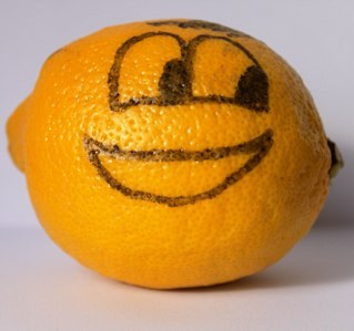 vidalandco's profile picture. 