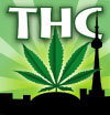 Perhaps the world's largest and greatest cannabis culture / hemp / bong shop! Established in 1994 and located in the heart of downtown Toronto.