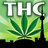 torontohempco's profile image
