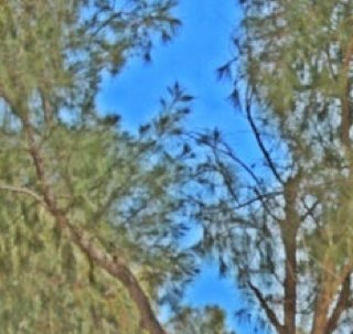 bo6ro8's profile picture. 