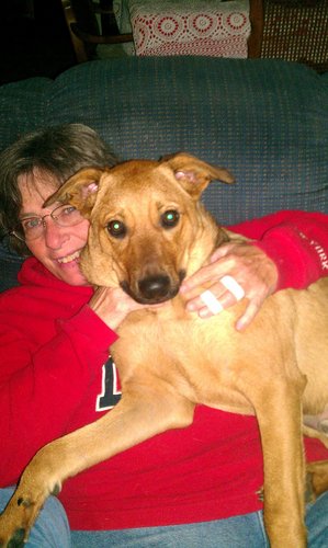 patcake59's profile picture. Live, Laugh, Love