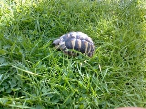 KarenMagic1's profile picture. 