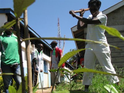 Prioluoch's profile picture. 