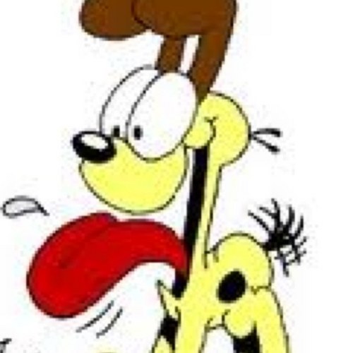 jolla75's profile picture. 