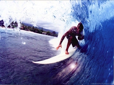 Surfing tweets by surf enthusiasts for surf enthusiasts.