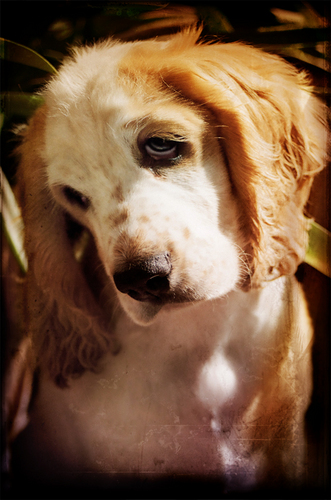 MayeGuerrero1's profile picture. La imaginación es infinita, para todo lo demás, un buen libro.