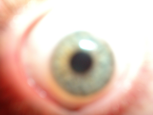 Jesse_William_B's profile picture. The green chair stands alone in the empty concrete hall. I like train movies. George Harrison was the best Beatle. I'm a righty but shoot pool lefty.