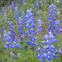 Suzanne Spence - @suzanne1113 - Twitter